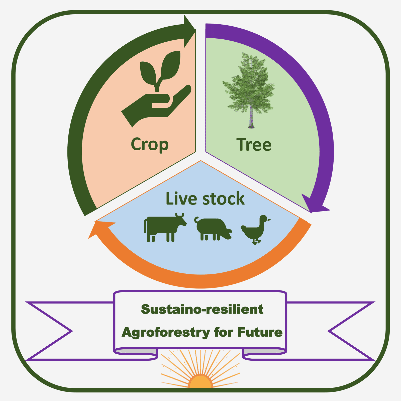 Where Agroforestry meets Agriculture in India