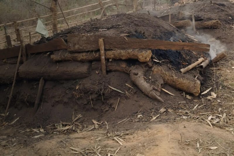 Charcoal vs. Community Forests: Can Meghalaya Find a Better Way?