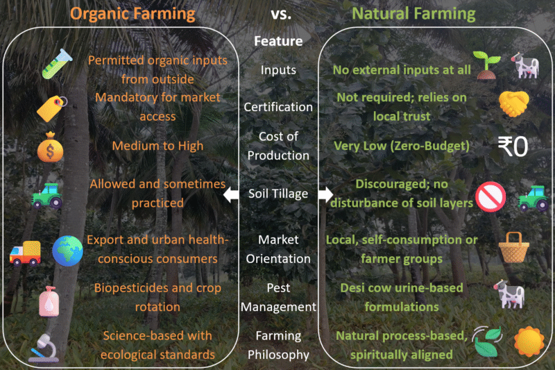 Organic vs. Natural Farming-What are the Differences and Which is Better?