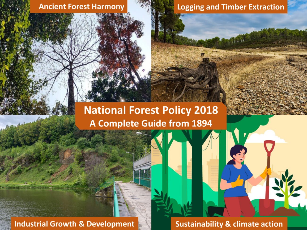 National Forest Policy