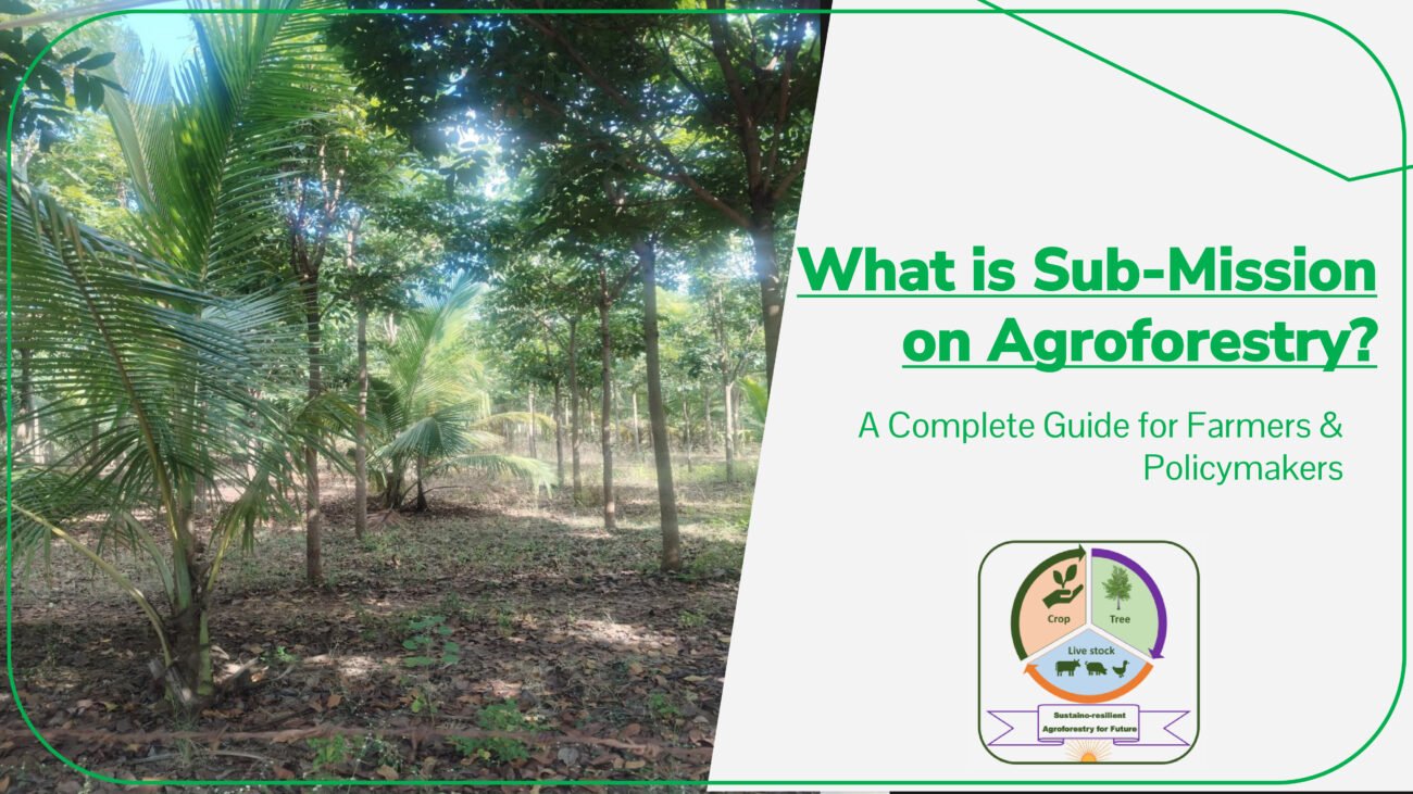 What is Sub-Mission on Agroforestry? A Complete Guide