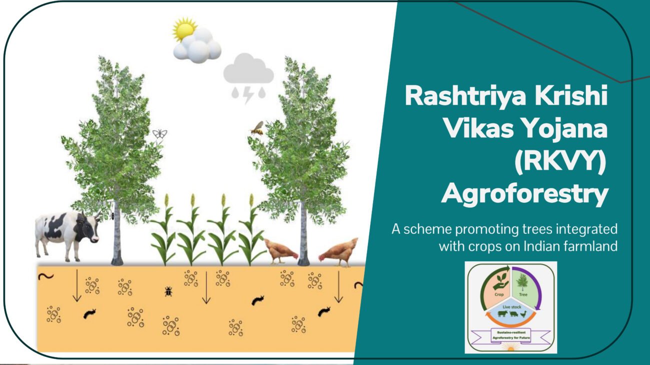 Rashtriya Krishi Vikas Yojana (RKVY) Agroforestry scheme promoting trees integrated with crops on Indian farmland