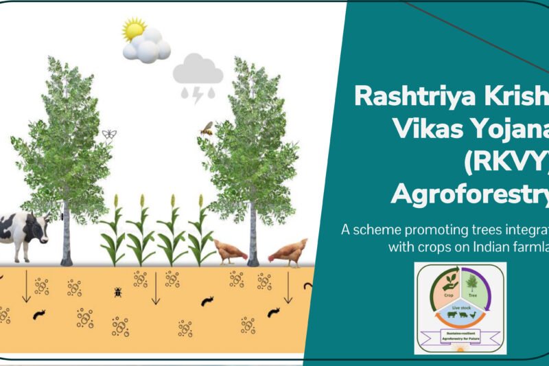 Rashtriya Krishi Vikas Yojana (RKVY) Agroforestry scheme promoting trees integrated with crops on Indian farmland