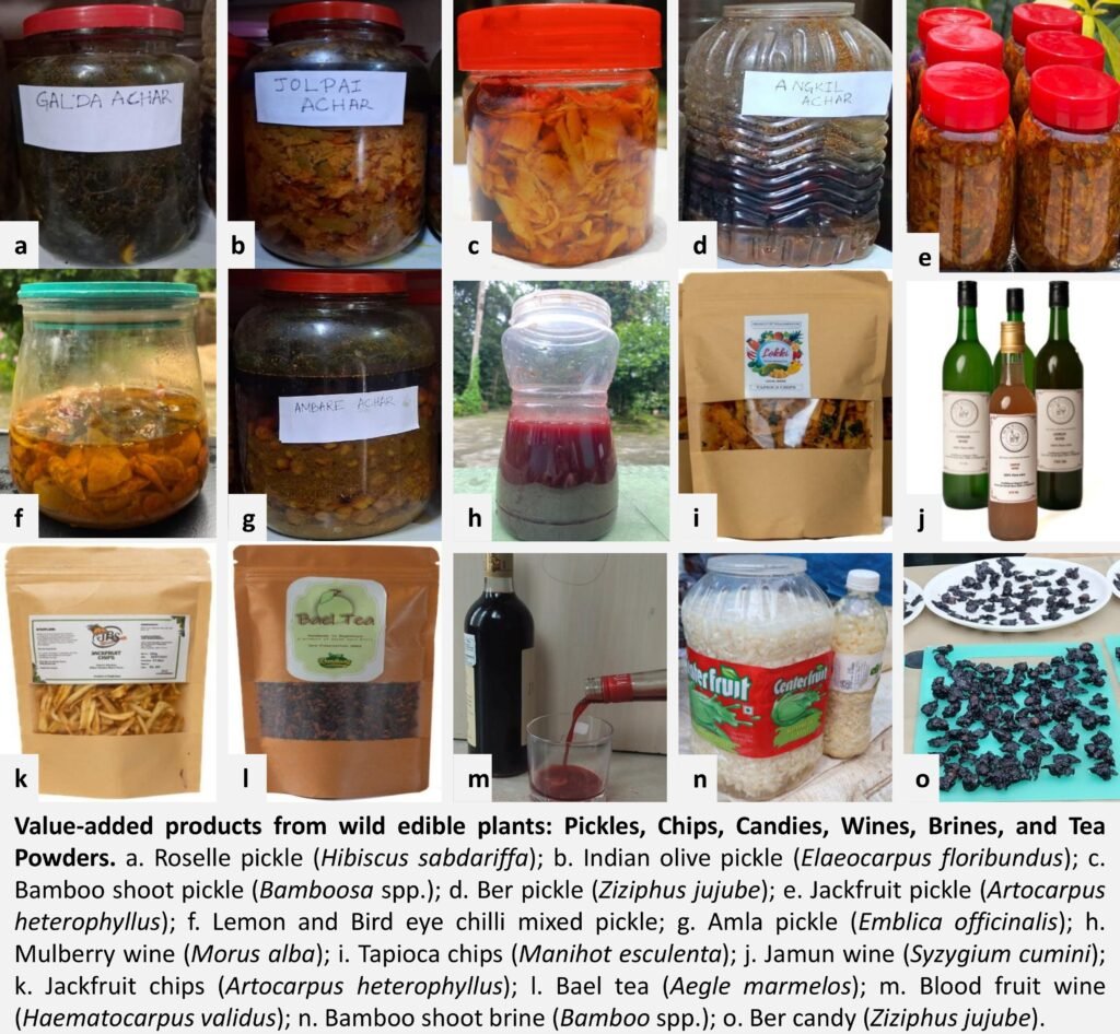 Value added products from Wild Edible Plants