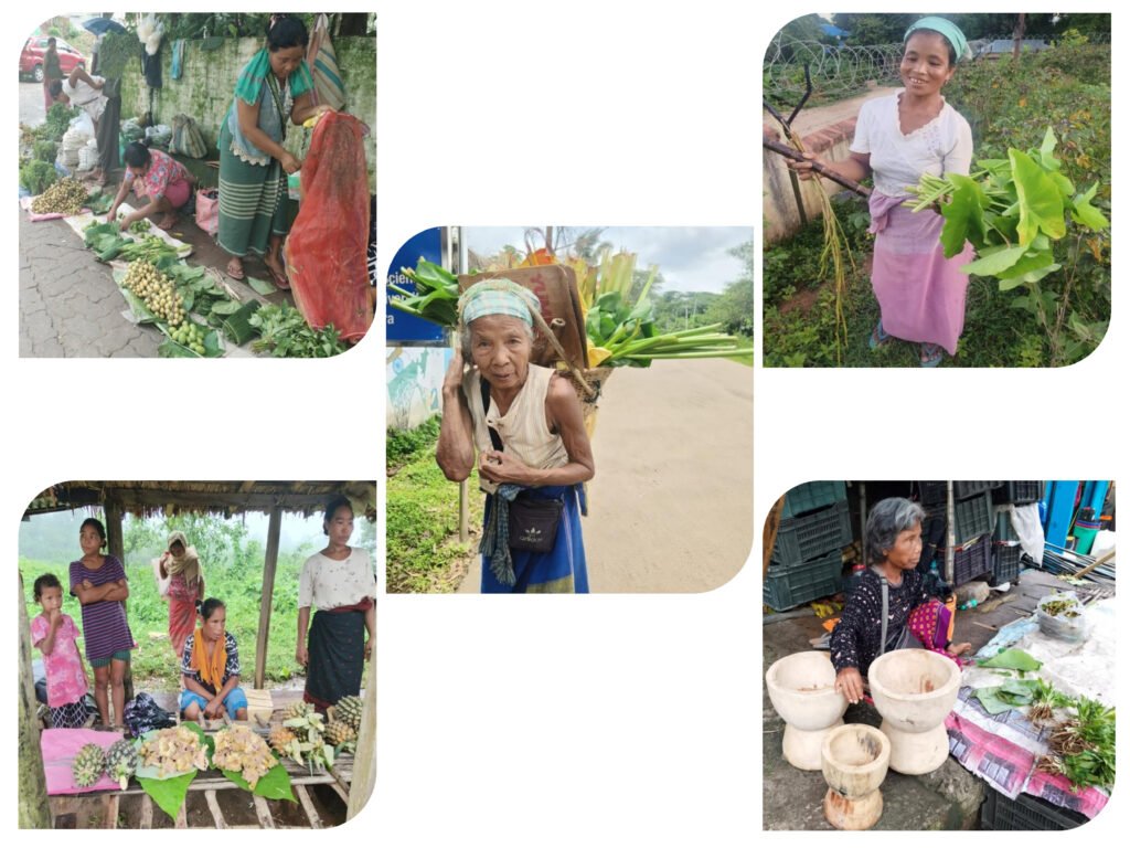 Women are key knowledge transmitters