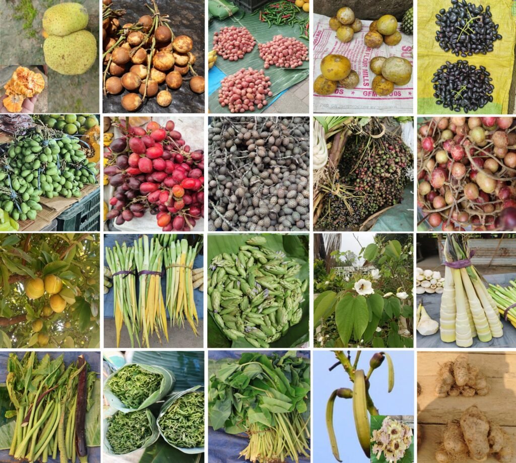 Wild edible plants of Meghalaya