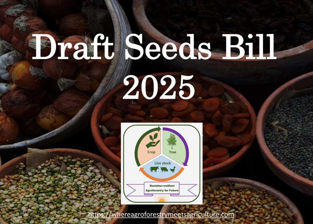 Draft Seeds Bill 2025