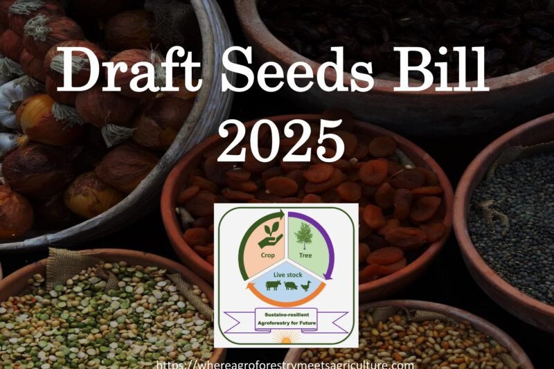 Draft Seeds Bill 2025