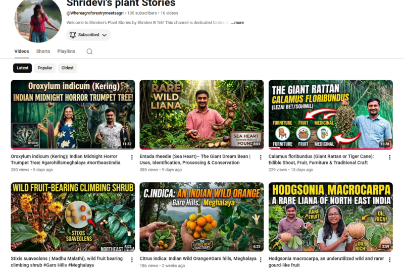Shridevi's plant Stories